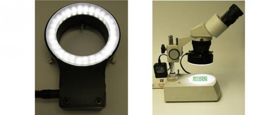 LED illumination for microscope (AC adaptor type)